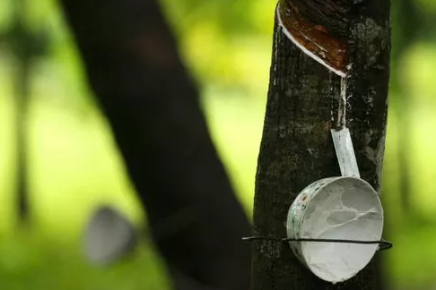 點(diǎn)擊瀏覽下一頁