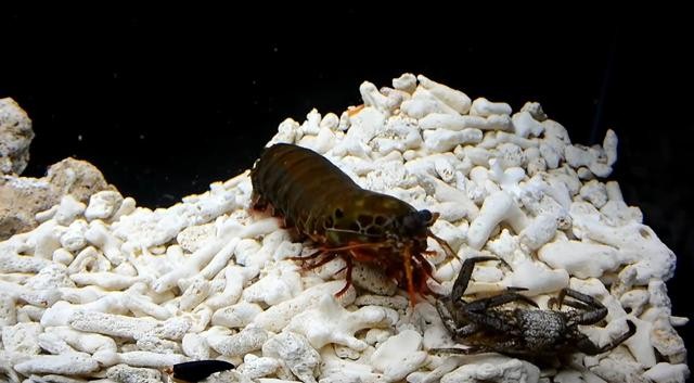 點擊瀏覽下一頁