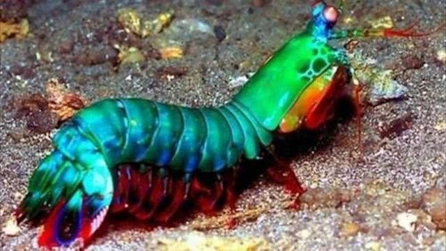 點擊瀏覽下一頁