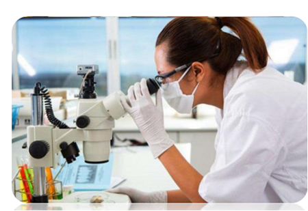 點(diǎn)擊瀏覽下一頁